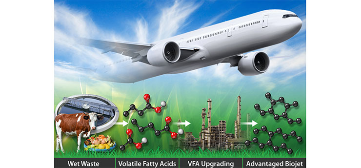 A process for making sustainable aviation fuel involves upgrading wet waste (like manure, wood waste, and sewage) into volatile fatty acids. Those acids are then upgraded with catalytic processes into advantaged bioject.