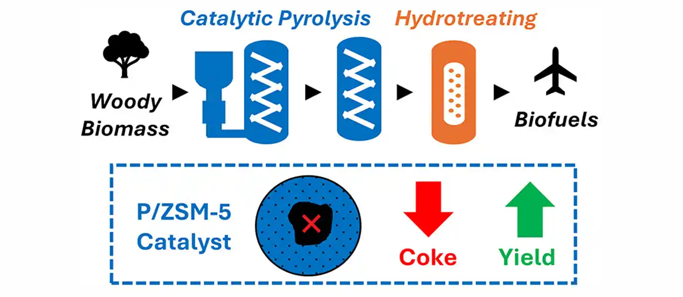 Diagram showing that the P/ZSM-5 catalyst reduces coke and increases yield of biofuels during catalytic pyrolysis.