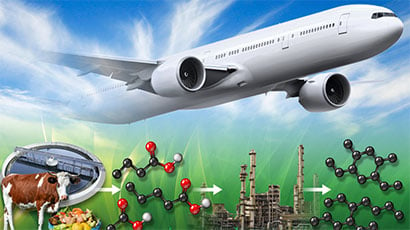 A process for making sustainable aviation fuel involves upgrading wet waste (like manure, wood waste, and sewage) into volatile fatty acids. Those acids are then upgraded with catalytic processes into advantaged bioject.