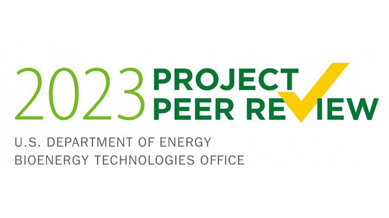 Logo for 2023 Peer Project Review