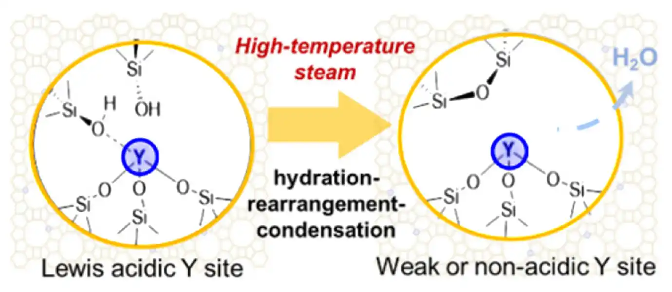 A Lewis acidic Y site converting to a weak or non-acidic Y site in the presence of high-temperature steam via hydration, rearrangement, and condensation.