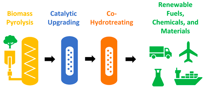 Biomass pyrolysis, catalytic upgrading, co-hydrotreating, renewable fuels, chemicals, and materials.